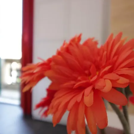 Apartment San Lorenzo Rome
